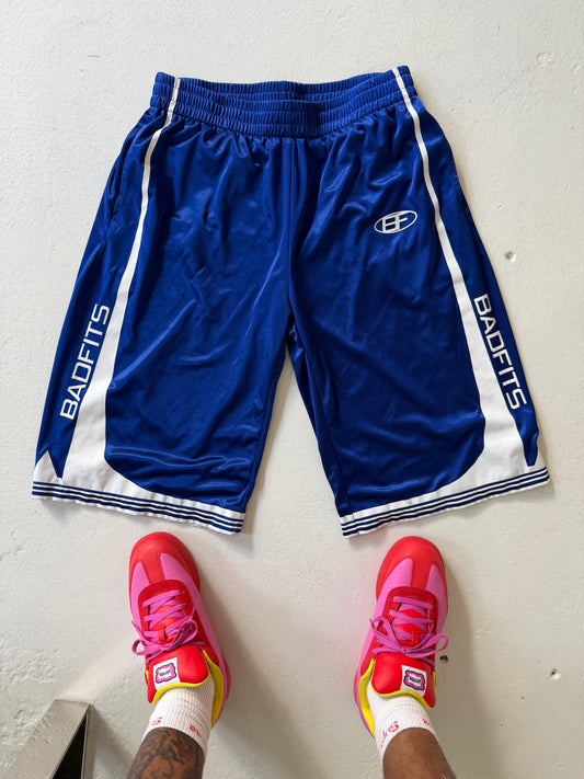 blueberry basketball shorts